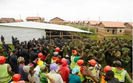 Gakenke: Police and RDF Planted 2,000 Agroforestry Trees to Support Community Welfare