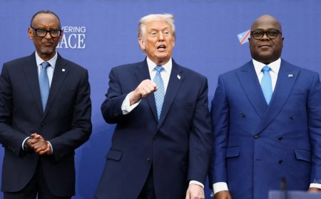 5 promises that Tshisekedi Assures the U.S. and Rwanda that the DRC Will Do as Part of New Peace Deal