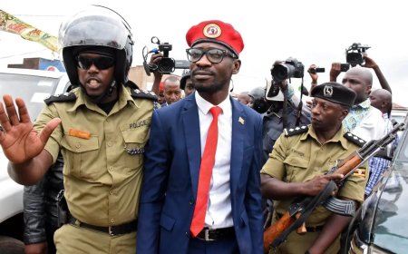 Uganda: Bobi Wine Amewekwa Chini ya Ulinzi