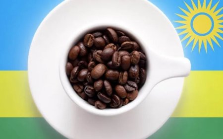 AGOA Extension Brings Relief and New Opportunities for Rwandan Exporters