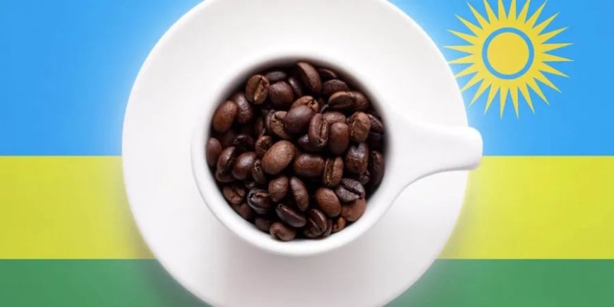 AGOA Extension Brings Relief and New Opportunities for Rwandan Exporters