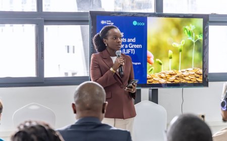 Rwanda to Recruit 3,000 Staff to Improve Digital Land Services