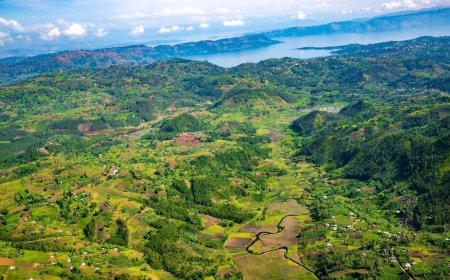 Le Rwanda prévoit de recruter 3 000 agents pour améliorer les services fonciers numériques