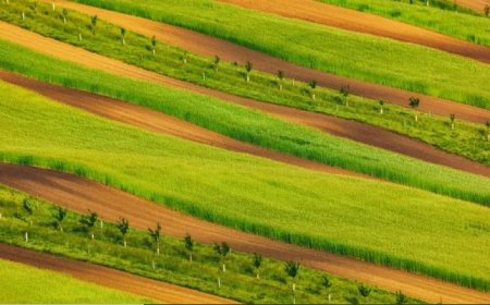 Rwanda Kuajiri Wafanyakazi 3,000 Kuboresha Huduma za Ardhi kwa Njia ya Kidijitali