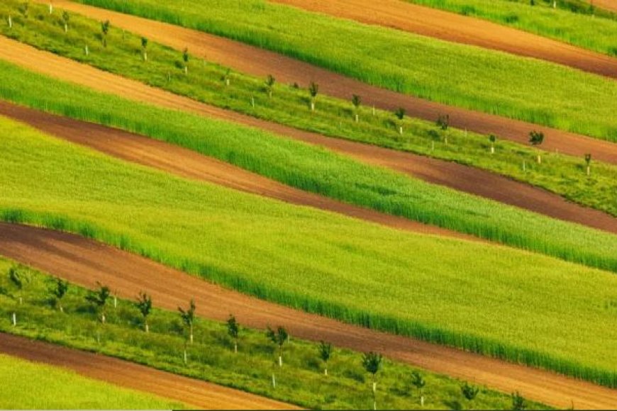 Rwanda Kuajiri Wafanyakazi 3,000 Kuboresha Huduma za Ardhi kwa Njia ya Kidijitali