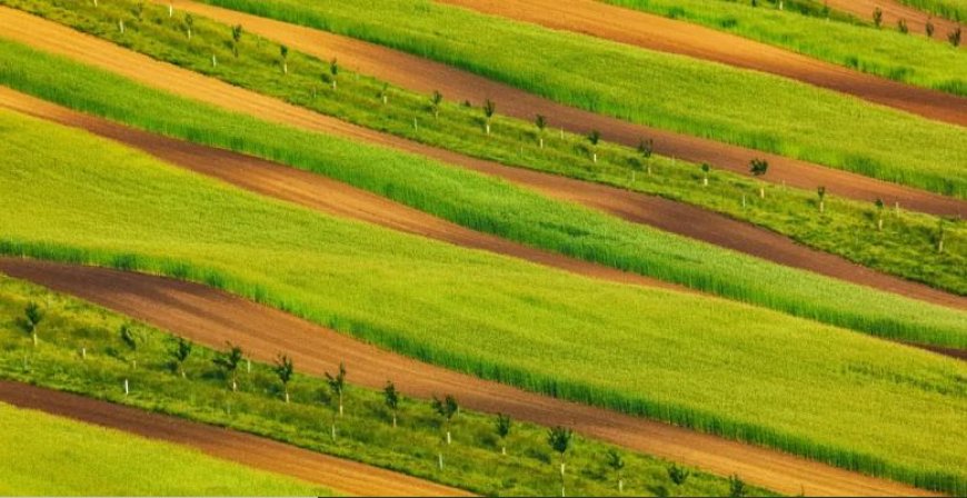 Rwanda Kuajiri Wafanyakazi 3,000 Kuboresha Huduma za Ardhi kwa Njia ya Kidijitali