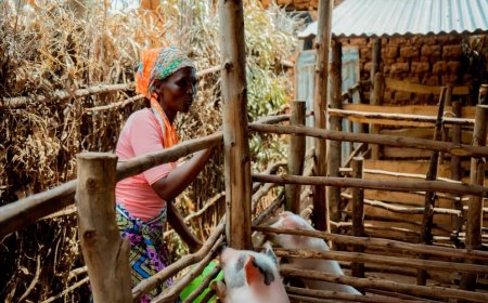 Gisagara:Bavuga ko Umushinga PRISM waboroje amatungo magufi, abafasha kwikura mu bukene no kwihangira imirimo