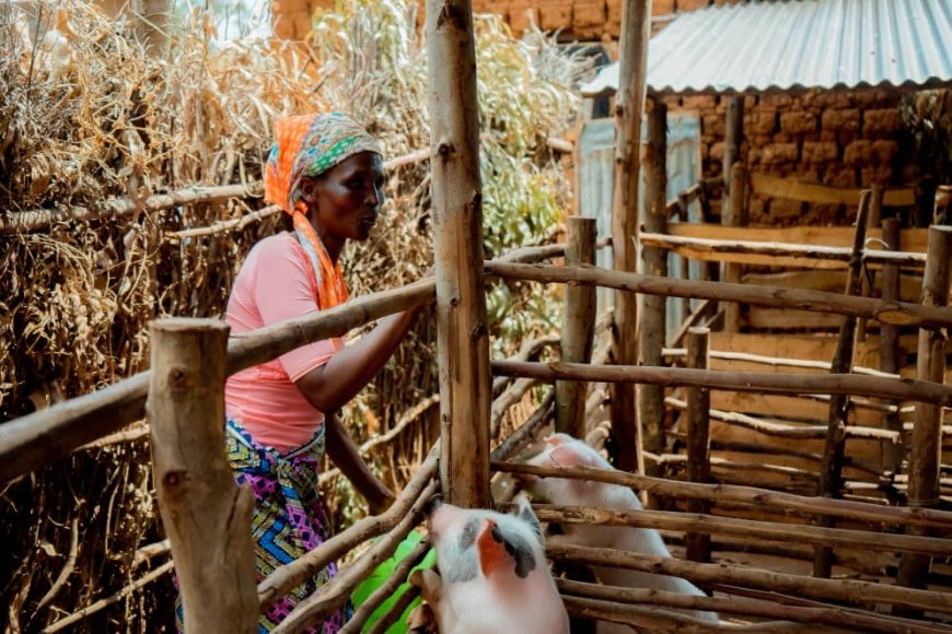 Gisagara:Bavuga ko Umushinga PRISM waboroje amatungo magufi, abafasha kwikura mu bukene no kwihangira imirimo